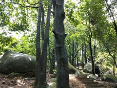 -火炉山森林公园