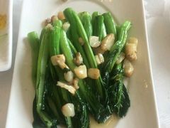 -锦江宾馆-花园餐厅