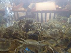 -岳州三毛·钻石卤虾(润泽园店)