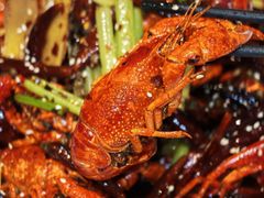 -阳光院坝小龙虾(红牌楼店)