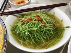 上汤豆苗-天成川菜馆(华乐店)
