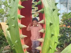 -沈阳植物园