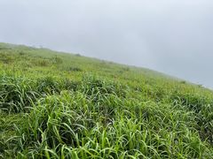 -萍乡武功山风景名胜区