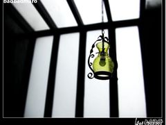 -松声马术俱乐部