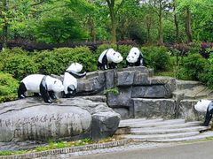 -都江堰中华大熊猫苑