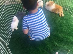 -季高兔窝窝亲子园(上海薰衣草公园店)