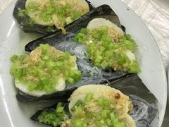 带子-老三鱼仔店