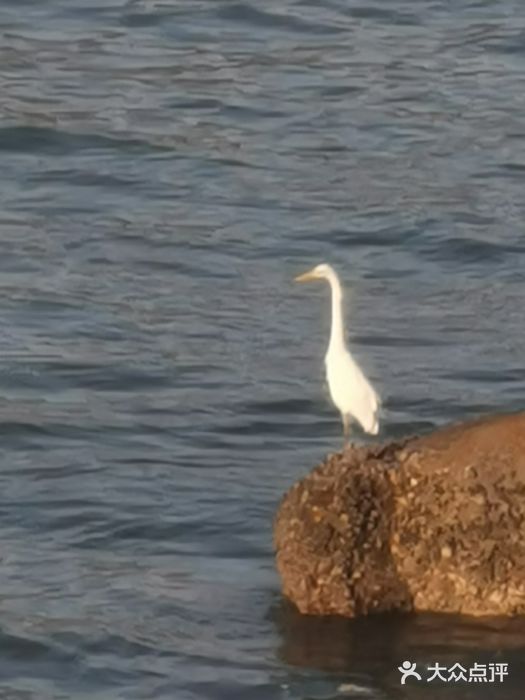 深圳大梅沙京基洲际度假酒店图片