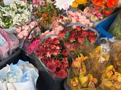 -溪岸路花鸟市场