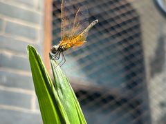 -31号公馆(黄兴广场白果园店)