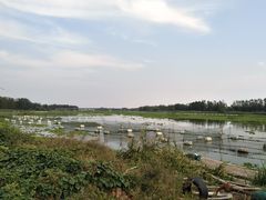 -中国石化东台服务区（沈阳方向）加油站