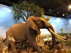 -陕西自然博物馆