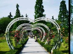 -昆山城市生态森林公园