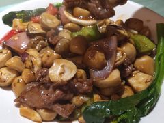 -张记旺角食街(动物园店)