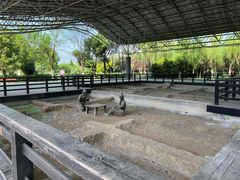 -合肥三国新城遗址公园