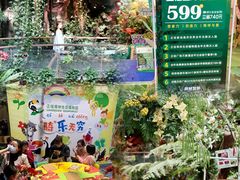 -正佳雨林生态植物园