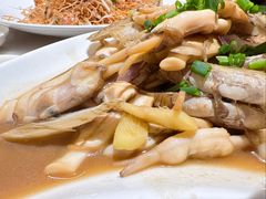 蛏子-华盛丰温州大排档(东三环南路店)