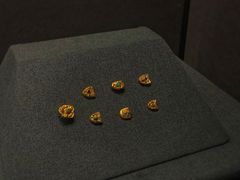 -盘龙城国家考古遗址公园