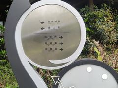 -桤木河湿地公园