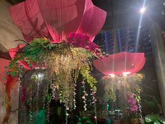 -芭缇沁园椰子鸡(中航紫金新天地店)