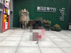 -证大喜玛拉雅中心