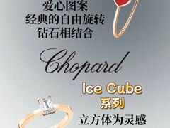 -海星奢选二手奢侈品手表包包鉴定回收寄卖(墨玉南路店)