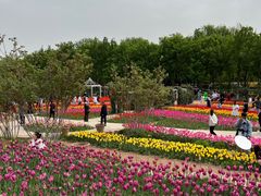 -石家庄市植物园