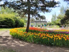 -长春公园(普阳街道)