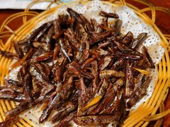 -云中鱼蒸汽石锅鱼(浦东食品城店)
