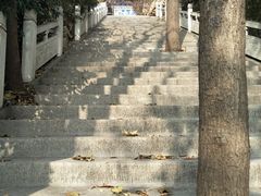 -石老人观光园