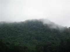 -海南热带雨林国家公园吊罗山景区