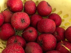 -润德轩清真菜馆(宏大路店)
