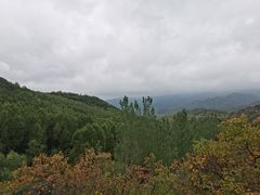 -灵山