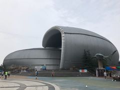 -烟台海昌鲸鲨海洋公园