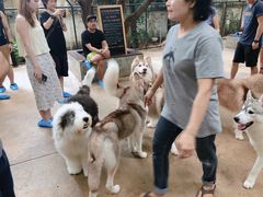 -TrueLove @ Neverland (Husky Cafe)