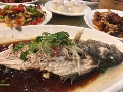 清蒸鲈鱼-九花山烤鸭店