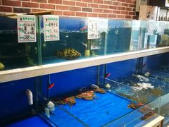 水产区-姜君·千岛湖鱼头馆(浦东大道店)