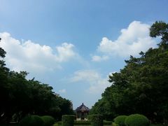 -中山大学学者灵芝(园南路店)