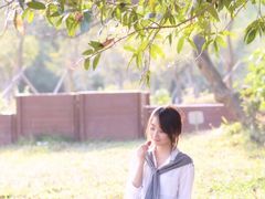-田心森林公园