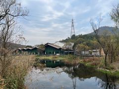 -西湖风景区-江洋畈生态公园