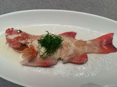 -新荣记(南京西路店)