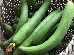 -马陆小张葡萄园农家乐