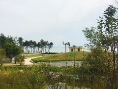 -青岛海泉湾度假区温泉