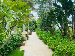 -海南棋子湾开元度假村·祺咖啡自助餐厅