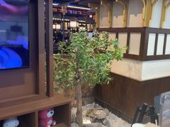 -牛New寿喜烧(闵行龙湖天街店)