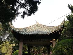 -叶家花园