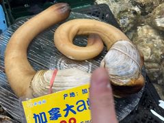 -79号渔船海鲜饭店(宝安店)