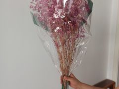 -双季花艺园艺市场(浦东店)