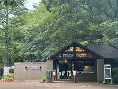 -井之头恩赐公园