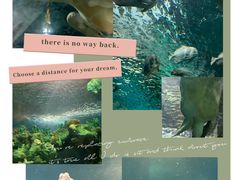 -上海海洋水族馆